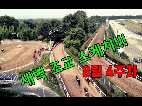 8/22-금요-부산-초찬훈-4주차-조교스케치-