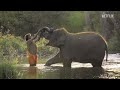 The Elephant Whisperers, a Documentary Short-Film, Now Available on Netflix