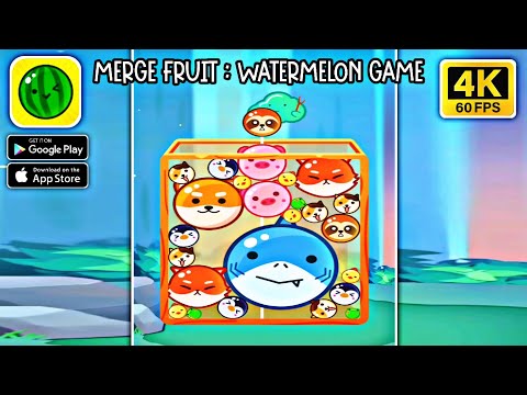 Merge Fruit - Watermelon Game || Android - iOS 4K 60fps Gameplay #2 - YouTube