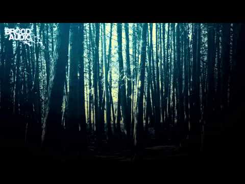 Erphun - Gravitational Singularity (Original Mix)