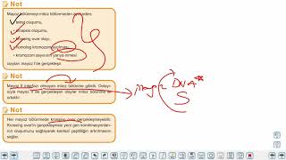 Eğitim Vadisi TYT Biyoloji 10.Föy Hücre Bölünmeleri 1 (Mayoz Bölünme) Konu Anlatım Videoları
