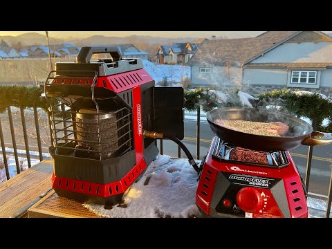 Buddy Flex Heater Review