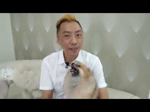 我愿意分享，您愿意观赏！