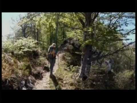 Intervento di Fabio Paolini - SentieriNatura 2011 - 05