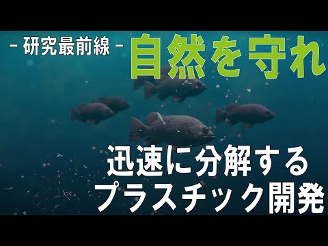 迅速に分解するプラスチック開発【共同研究】