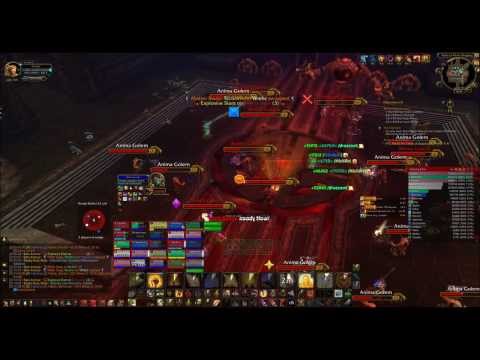 Adrenaline Vs Dark Animus 25 Man - Holy Paladin POV
