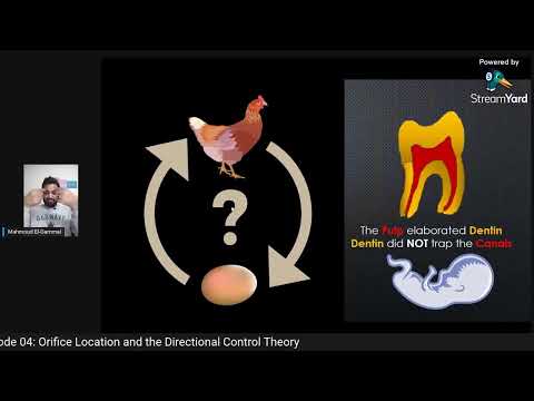 Kaizen Endo - Episode 04: Orifice Location