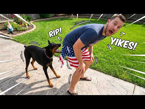 Funniest Fails Compilation | Painful Belly Flops Caught on Camera All Summer Long at Everywhere