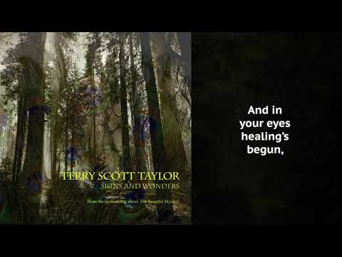 Terry Scott Taylor- "Signs & Wonders" Lyric Video
