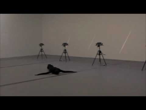 TRIBUTE TO IRMA VEP (part two)