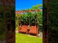 DIY Best low budget Grapevine Trellis #diy  #grapevines #trellis