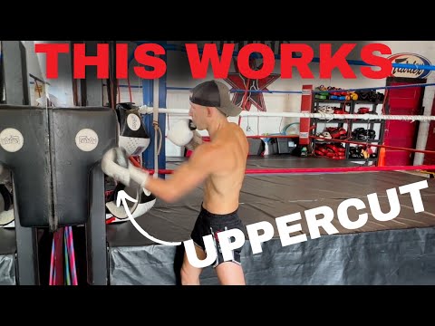 3 Tips To Land Uppercut In Sparring