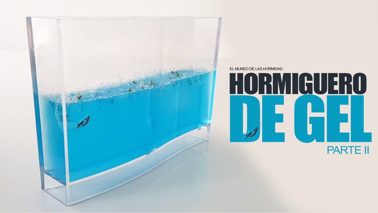 EL HORMIGUERO DE GEL | Segunda Parte