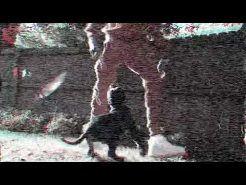 Mack Millz - Trapper (Freestyle)  (Shot By DrollRollDaTape)