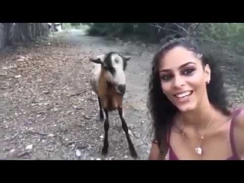 SI TE RIES PIERDES EDICION MEME AFRICANOS BAILANDO CON ATAUD