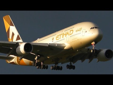 AMAZING 50+ MINUTES of Melbourne Airport Plane Spotting ● August 2017 Highlights!