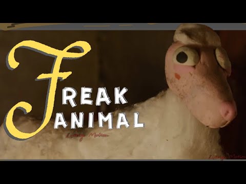 "Paulino El Borrego" |  Stop Motion Animation