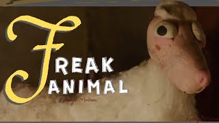 "Paulino El Borrego" |  Stop Motion Animation