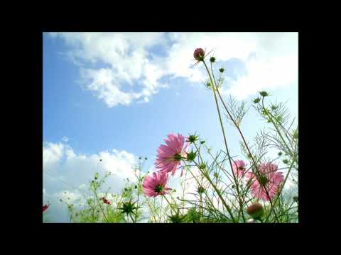 كلمات ترنيمه روحيه كنت في سجن الخطايا