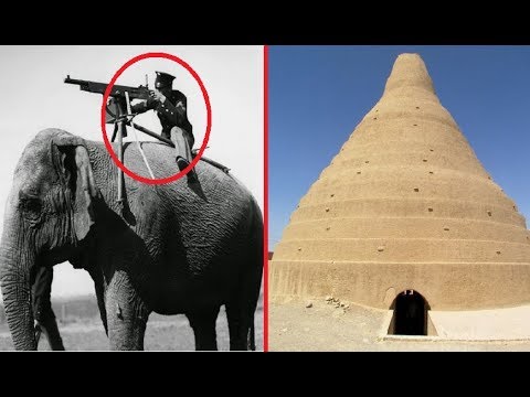 Crazy Things The Ancient Persians Did