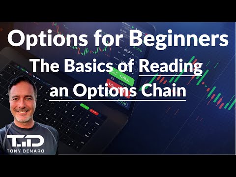 How to read an Options Chain - Options For Beginners