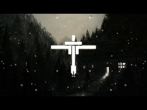 David Guetta x Martin Garrix x Brooks - Like I Do (Bane Remix)