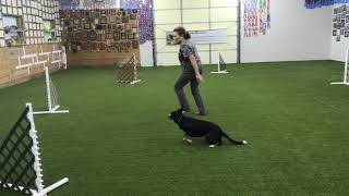 The Wing Circle for Agility