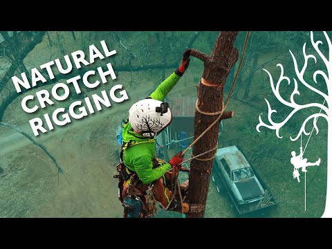 Negative rigging basics Pt. 3 | Rigging with Just a rope! Natural crotch rig | tree removal how-to
