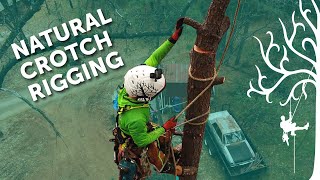 Negative rigging basics Pt. 3 | Rigging with Just a rope! Natural crotch rig | tree removal how-to