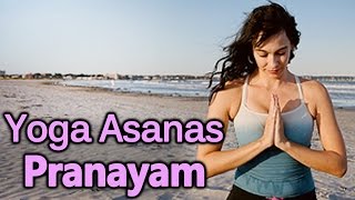 Pranayam & Yoga Asanas - Yoga For Beginners | DOWNLOAD THIS VIDEO IN MP3, M4A, WEBM, MP4, 3GP ETC
