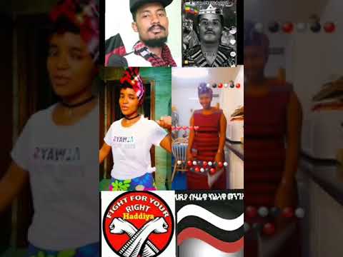 dali ayaticho ayaticho