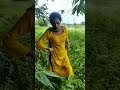 Khet Me Kand