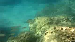 preview picture of video 'Corfu diving Ermones'
