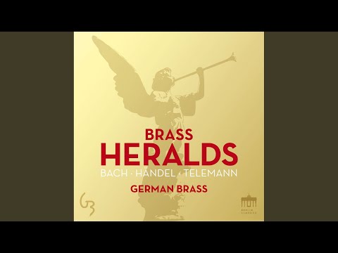 Organ Concerto in D Minor, BWV 596: IV. Largo e spiccato (Arr. By Matthias Höfs)