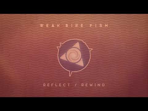 Weak Size Fish - Reflect / Rewind