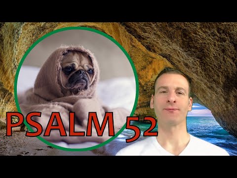Psalm Chapter 52 Summary and What God Wants From Us