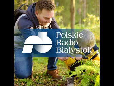 Rzecz o żubrze, odc. 2