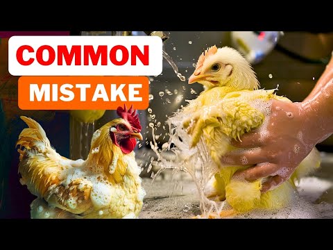 Chicken Danger: 99% of People Make This Mistake! (Avoid Food Poisoning!)