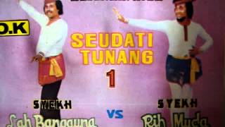 Download lagu sedati aceh mp3