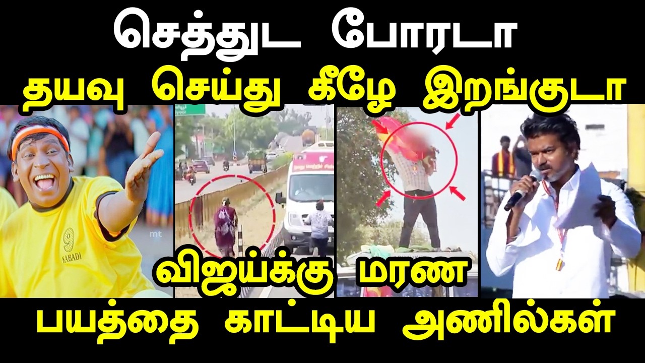 விஜய்க்கு மரண பயத்தை காட்டிய அணில்கள் I #kptroll #tvkvijay #vijayroadshowt