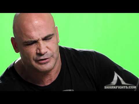 Shark fights Tough Guys