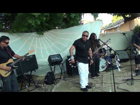 BLUZ XPRECIANS - STORMY MONDAY 5TH MINI WOODSTOCK