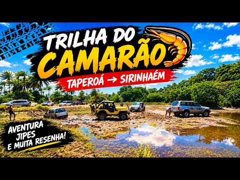 TRILHA DO CAMARÃO 🦐 | De Taperoá até Barra de Sirinhaém