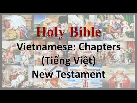 AudioBible：Vietnamese：44020 The Acts 020