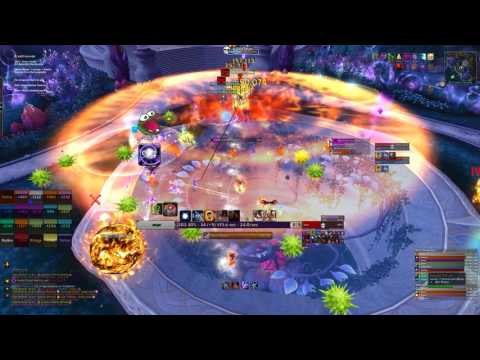 Echelon vs. High Botanist Tel'arn Mythic - Shadow Priest PoV