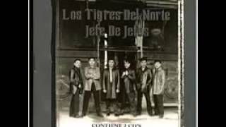 Las novias del traficante  - Los Tigres del Norte