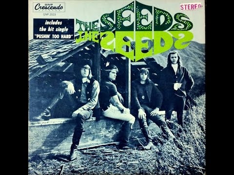 THE SEEDS -The Seeds (Full album) (Vinyl)