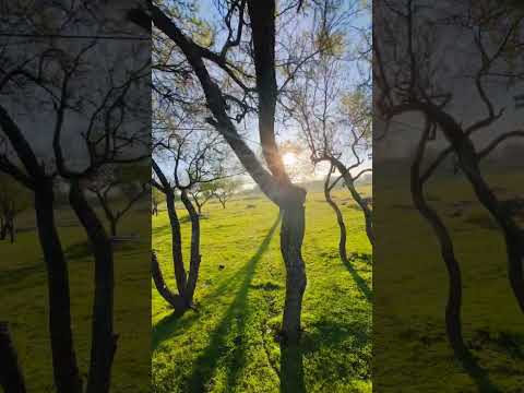 Hasenkamp #entrerios #argentina #travel #relax