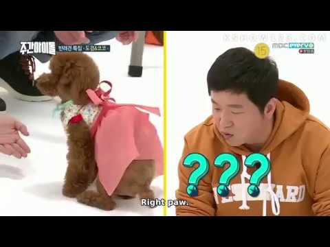 [ENG SUB] Weekly Idol Episode 336
