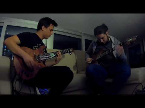 The Intruder and Deadringer tested by Animal Guitars Staff.